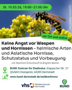 Vortrag (Hybrid): Keine Angst vor Wespen und Hornissen – heimische Arten und Asiatische Hornisse, Schutzstatus, Vorbeugung @ BUND Zentrum für Stadtnatur - Orangerie